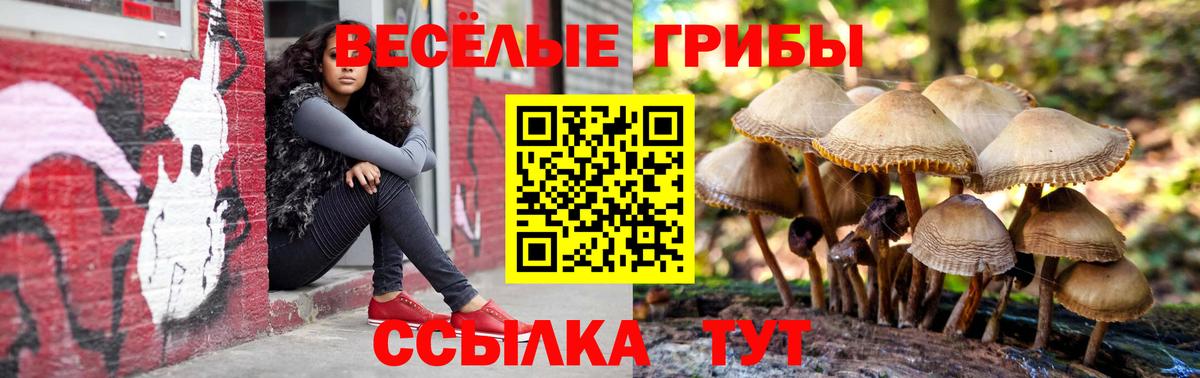 Галлюциногенные грибы мухоморы Котлас