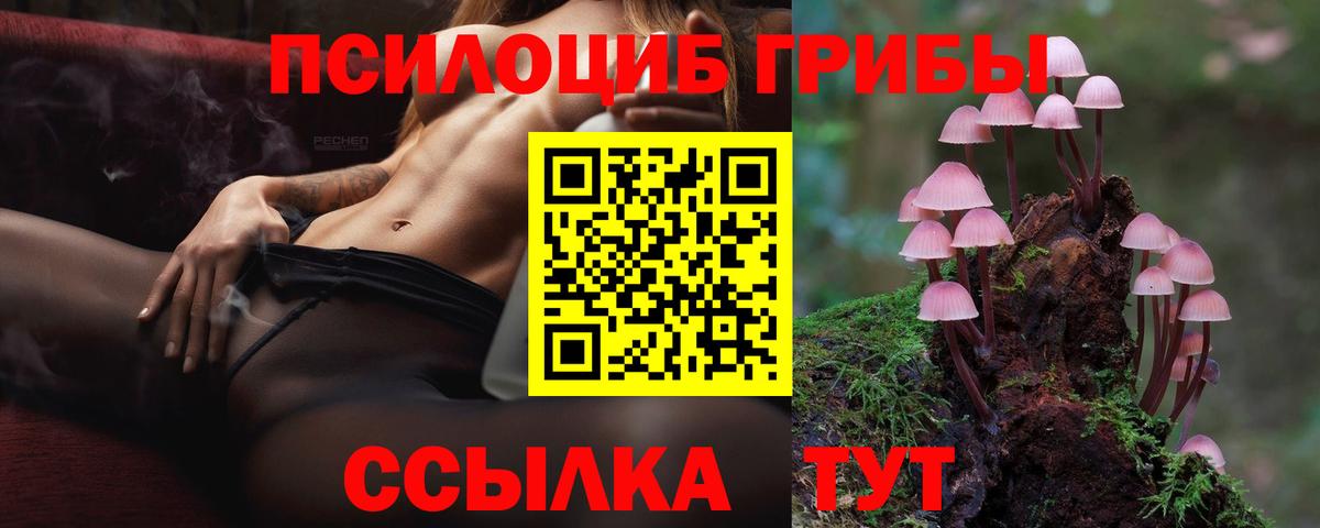 Галлюциногенные грибы Psilocybine cubensis  Вход с VPN  Котлас 