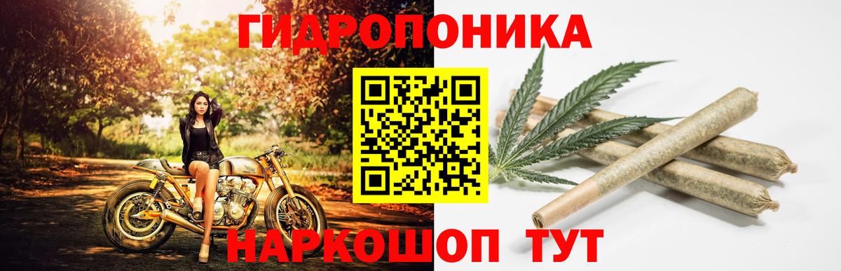 Котлас  МАРИХУАНА VHQ  Конопля White Widow  Бошки Шишки сатива  Вход с VPN 