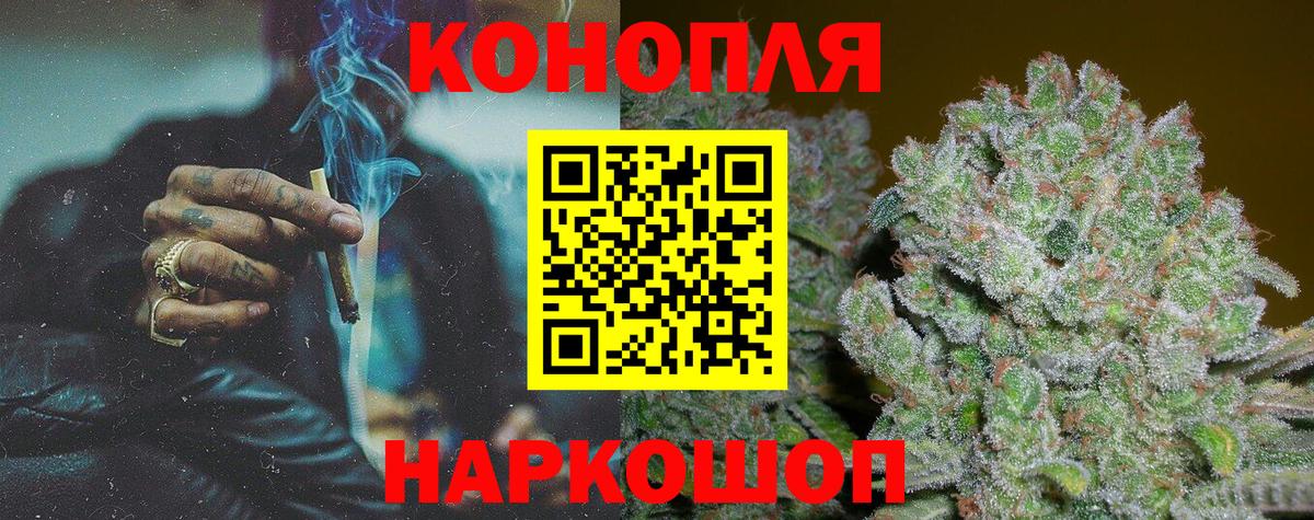 Бошки марихуана план Котлас